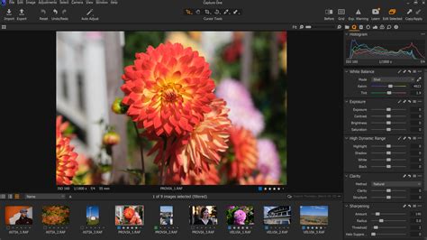 Interface de Capture One Express avec les options d'ajustement de base