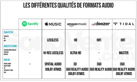 Schéma comparatif des formats audio de fichiers vidéo