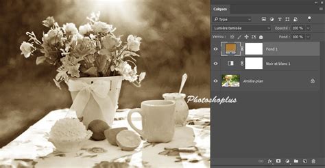 Exemple d'image avec une teinte sépia appliquée dans GIMP