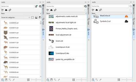 Interface utilisateur de CorelDRAW avec le menu fixe Ressources ouvert