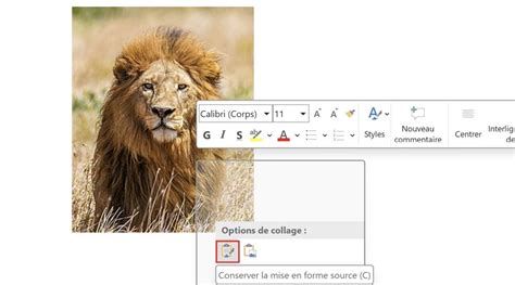 Illustration montrant comment copier et coller des keyframes entre différents calques.