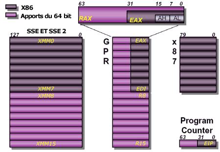 Représentation visuelle de la taille des registres SSE (128 bits) et AVX (256 et 512 bits) et du nombre d'éléments (floats) qu'ils peuvent contenir.