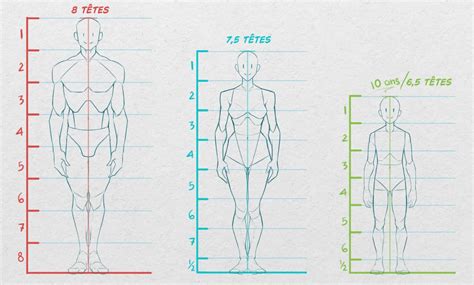 Schéma comparant des proportions de pieds réalistes et non réalistes dans un modèle 3D