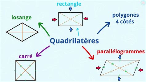 Schéma illustrant les différents types de polygones (N-gones, triangles, quadrilatères) et l'importance de la géométrie manifold.