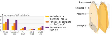Infographie comparant les dimensions de la fleur avant et après redimensionnement