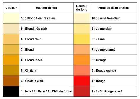 Comparaison visuelle des effets de l'outil Dodge (éclaircissement) et de l'outil Burn (assombrissement) sur une image.