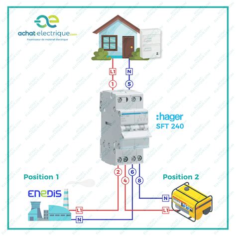 Exemple de montage photo d'un chien, où la silhouette est remplie de plusieurs photos personnelles.