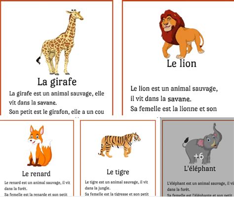 Exemple d'une photo éditée avec l'ajout d'un animal sauvage et d'insectes.