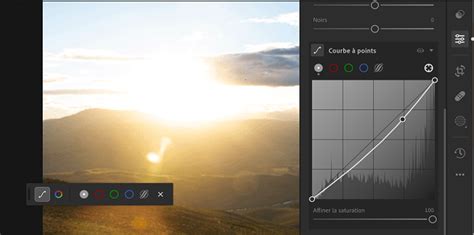 Capture d'écran du panneau Courbe des tonalités dans Lightroom