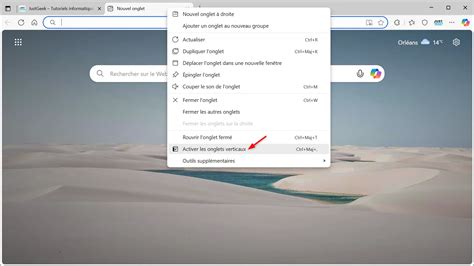 Capture d'écran montrant l'interface d'ACDSee avec plusieurs onglets ouverts en mode Gérer