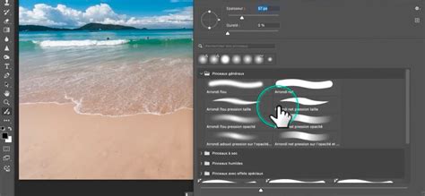 Interface du Pinceau de Réglage dans Lightroom