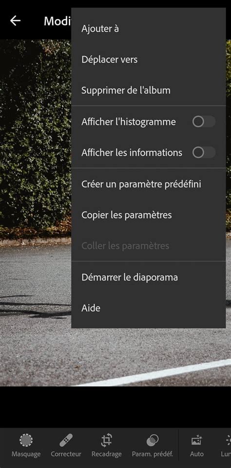 Capture d'écran de l'interface Lightroom Mobile montrant l'étape de création d'un paramètre prédéfini