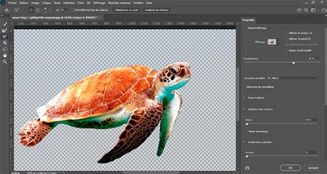Schéma comparatif des méthodes de détourage dans Photoshop : Sélection rapide, Baguette magique, Plume, Plage de couleurs, IA