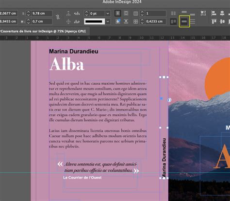 Image d'une ville placée dans un cadre InDesign avec des dimensions spécifiques.