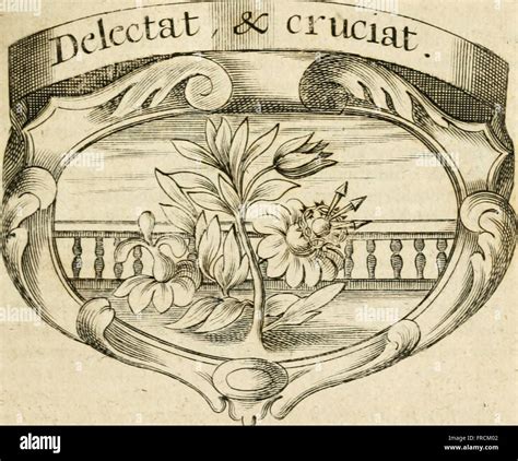 Infographie expliquant le concept de 