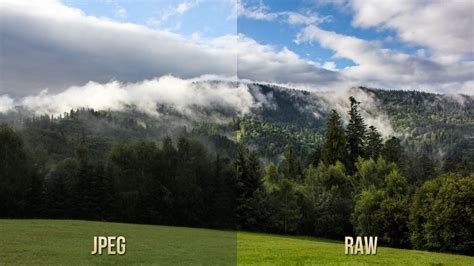 infographie comparant les formats RAW, DNG et JPEG
