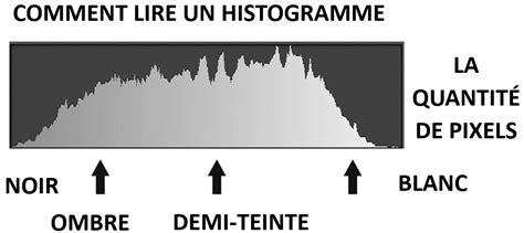 Exemple d'histogramme dans la boîte de dialogue 