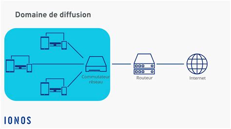 Schéma illustrant les différentes options de diffusion et de mise en page dans Forest Pack