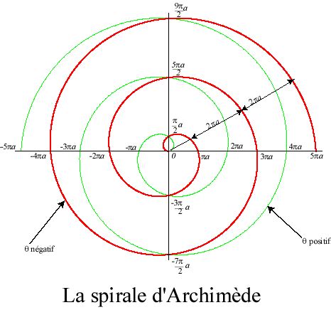Schéma illustrant une spirale d'Archimède et une spirale logarithmique.