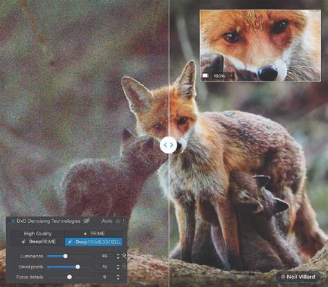 Infographie comparant les capacités de réduction de bruit de DxO PhotoLab et Photoshop Elements.