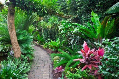 Collage de différentes ambiances de jardins : moderne, zen, tropical, rustique