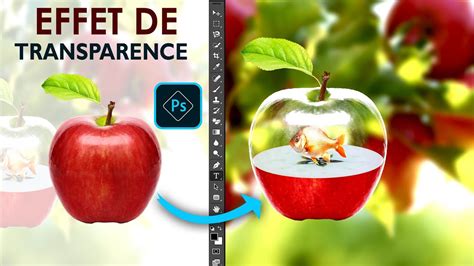 Schéma illustrant le concept de transparence progressive sur une image