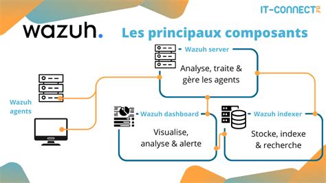 Schéma des menus principaux de Photoshop avec les options Fichier et Fenêtre.