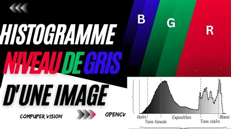 Exemple d'un histogramme RVB affichant la répartition des tons d'une image.