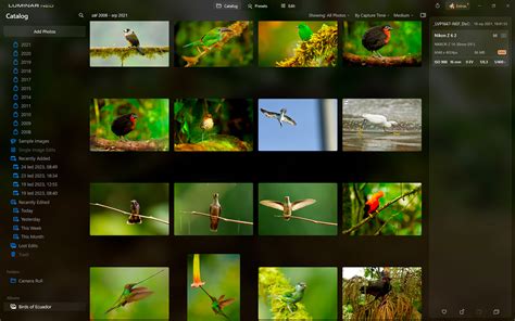 Exemple d'organisation d'images dans des albums virtuels dans Luminar Neo