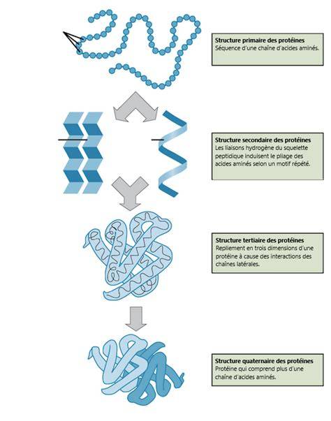 Schéma explicatif : mise en évidence d'un contour d'objet et augmentation du contraste pour améliorer la netteté.