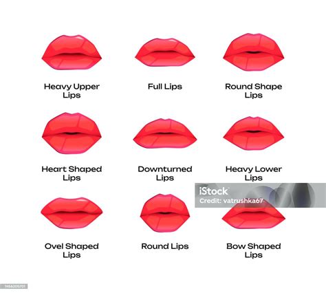 Illustrations des différentes formes de bouche (AAA, OOO, bouche fermée).