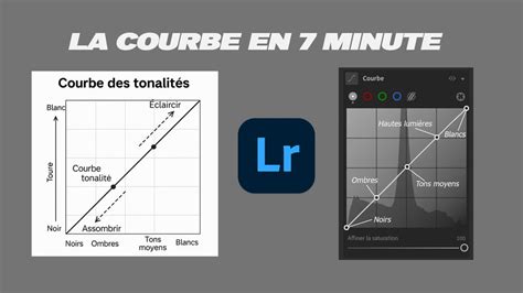Graphique de la Courbe des tonalités dans Lightroom Classic, montrant les axes d'entrée et de sortie et les différentes régions.