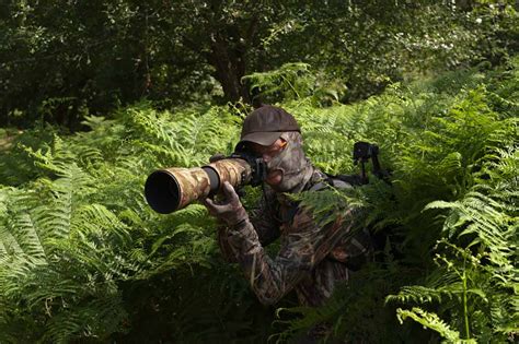 Photographe en affût observant un cerf dans un environnement naturel.