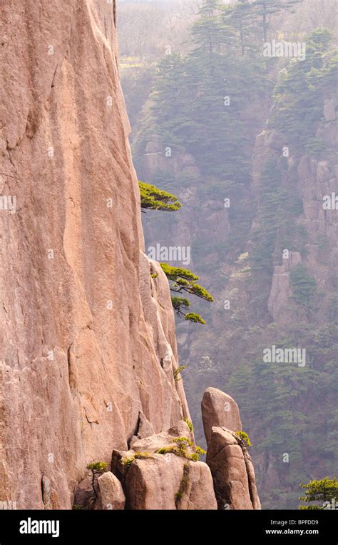 Photographie des montagnes Huang Shan en Chine
