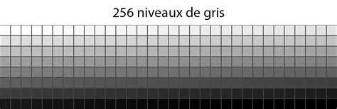 Comparaison d'une image couleur d'origine et de sa version en niveaux de gris après application du réglage Monochrome