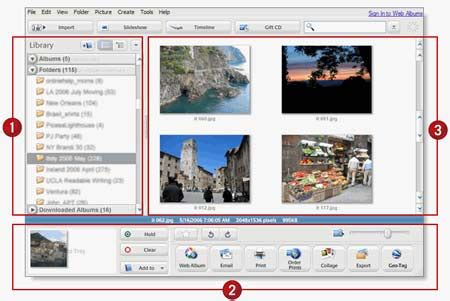 Interface principale du logiciel Picasa avec la bibliothèque visuelle des photos