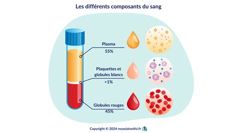 Schéma illustrant les différents composants du sang et les analyses courantes.