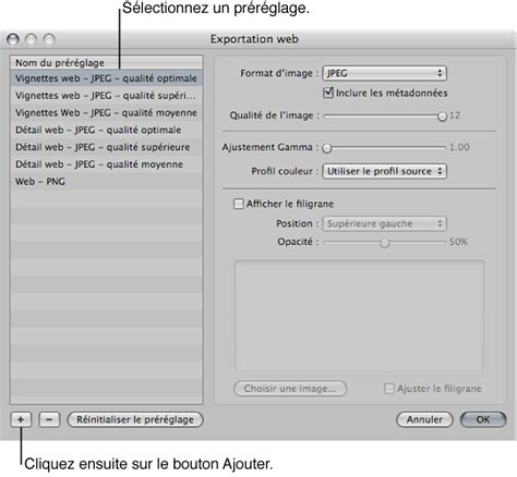 Capture d'écran du dialogue d'exportation GIF dans GIMP, montrant les options pour l'animation.