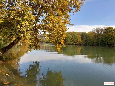 Application des paillettes sur les bords du pochoir