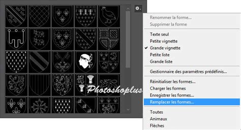 Exemple d'une photo avec un effet de gravure appliqué via le plugin.