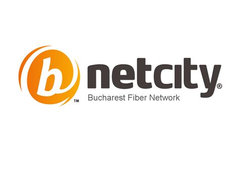 Illustration d'un logo conceptuel pour Netcity, représentant un hub central avec des branches.