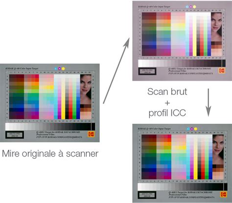 Exemple d'un profil de couleur ICC affiché dans un logiciel