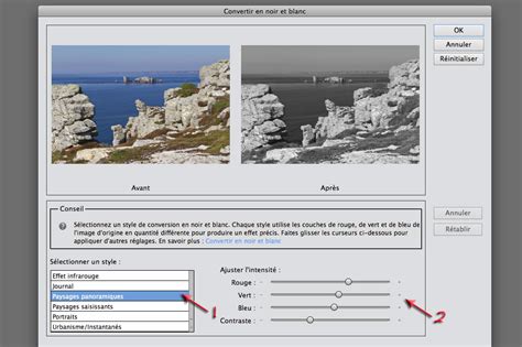 Comparaison de différents styles de conversion en noir et blanc